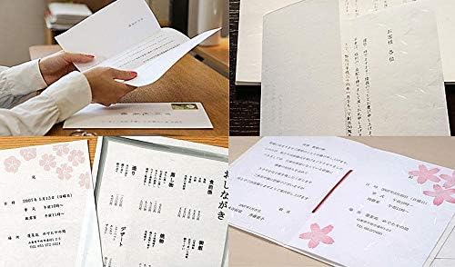 Washi Paper Printable A4 Printer Paper (50 Sheets), TAIREISHI Japanese Paper for Printing, Multipurpose Copy Paper for Laser and Inkjet Printers, Made in JAPAN (47303)