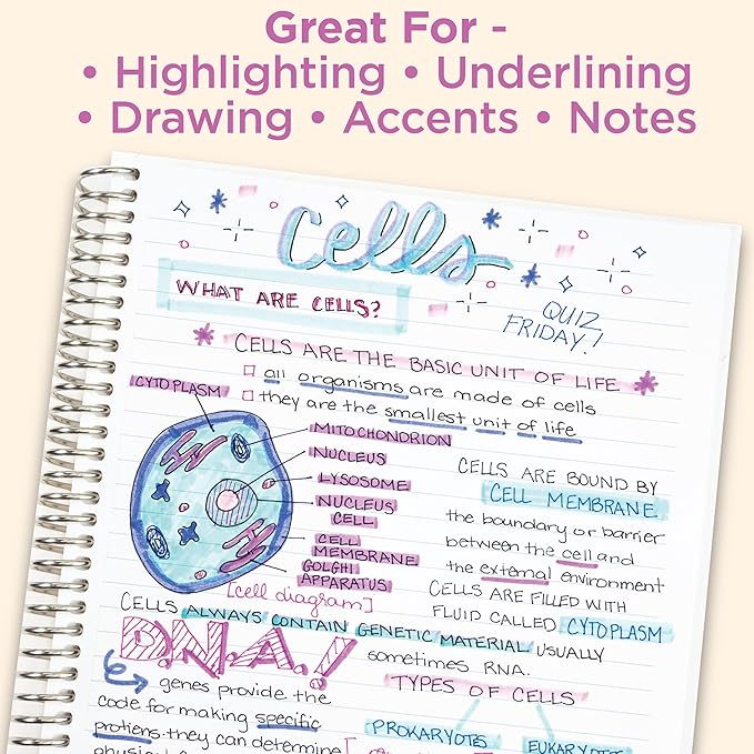 Zebra Mildliner Double Ended Highlighter, Assorted Ink Colors, Bold-Chisel/fine-Bullet Tips, Assorted Barrel Colors, 10/set
