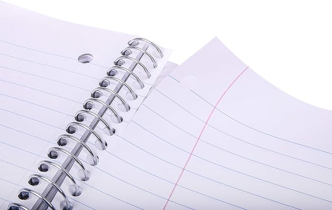 Mintra Office Durable Spiral Notebooks, 5 Subject (Salmon, College Ruled 1pk)